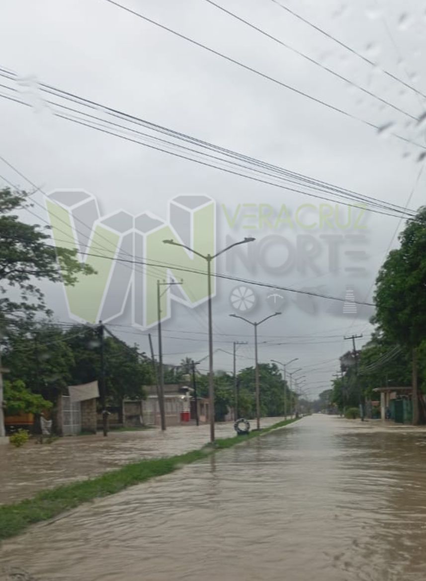 álamo inundado (1)