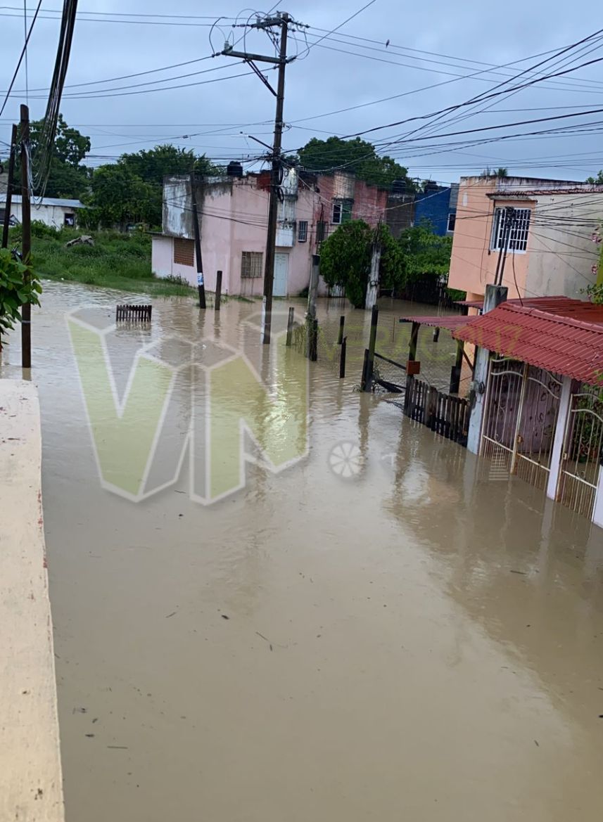 álamo inundado (2)