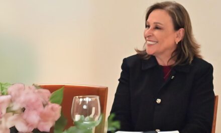 Reingeniería administrativa para un gobierno más eficiente: Rocío Nahle