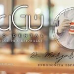 BaGú