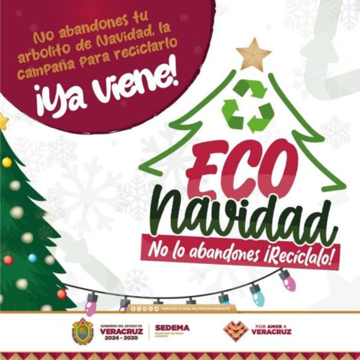 eco navidad