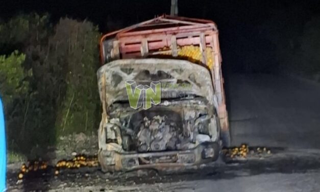 Camioneta se incendia en la carretera Álamo-Castillo de Teayo