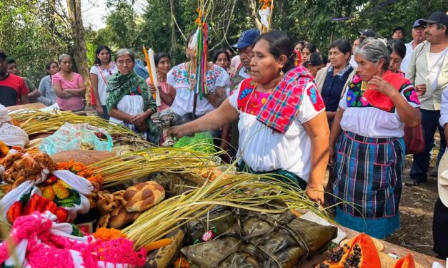 Legados Culturales desplazados en Veracruz