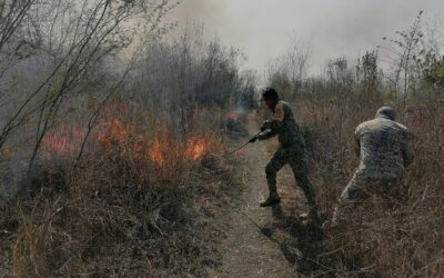 Tempoal: Presunta quema de basura se sale de control en Manantiales