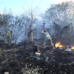 Cuerpos de emergencia controlan incendios en Álamo y Tempoal