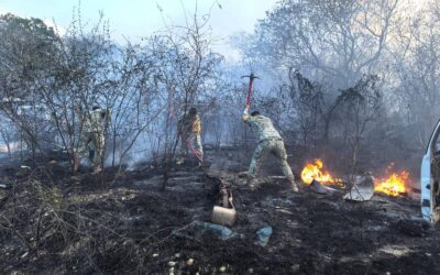 Cuerpos de emergencia controlan incendios en Álamo y Tempoal