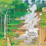 ¿Por qué llueven cenizas?