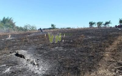 Alerta en Álamo por Reavivación de Incendios