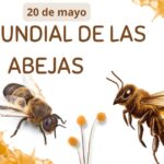La Importancia de las Abejas: Un Día para la Conciencia Global