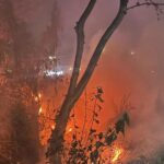Gobierno de Tuxpan emite recomendaciones para prevenir incendios de pastizales