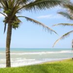 Tecolutla, joya tropical del norte veracruzano, invita al turismo sostenible