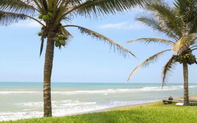 Tecolutla, joya tropical del norte veracruzano, invita al turismo sostenible