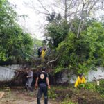 PC y Bomberos atienden afectaciones menores en la ciudad, provocadas por las intensas lluvias