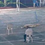 Mujer de la tercera edad fallece en plena jornada electoral en Poza Rica.
