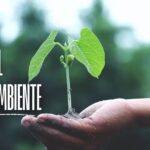 Día Mundial del Medio Ambiente
