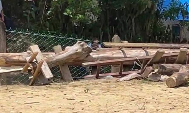 Colapsa Palo Volador en Tihuatlán: cinco danzantes resultan lesionados
