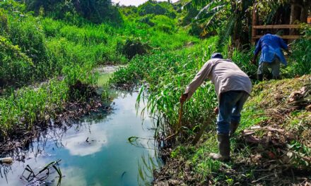 Tuxpan: Se realiza la limpieza y desazolve de la zanja que cruza la calle Pavón