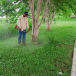 Se intensifica la limpieza y desbroce en áreas verdes de camellones, jardines y parques públicos