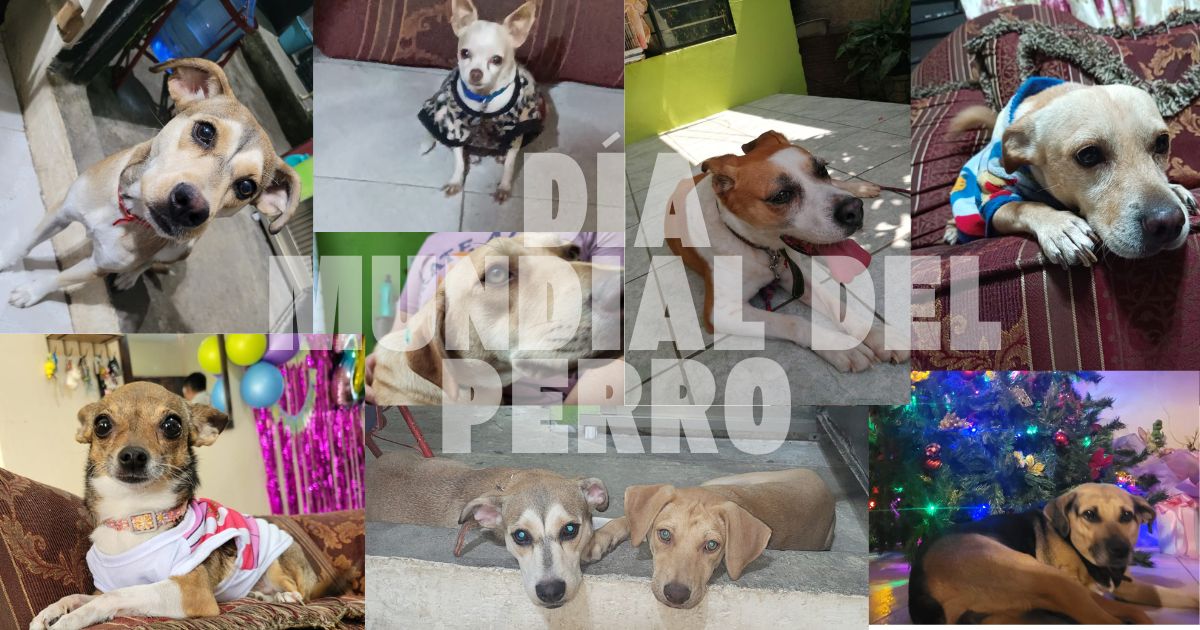 DÍA MUNDIAL DEL PERRO