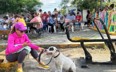 Inicia exitosa Campaña Gratuita de Esterilización Canina y Felina gestionada por Daniel Cortina