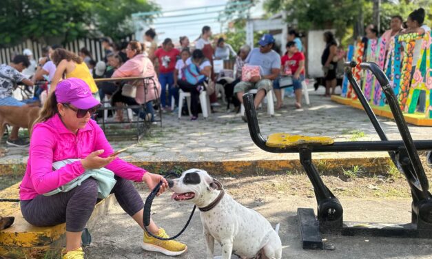 Inicia exitosa Campaña Gratuita de Esterilización Canina y Felina gestionada por Daniel Cortina