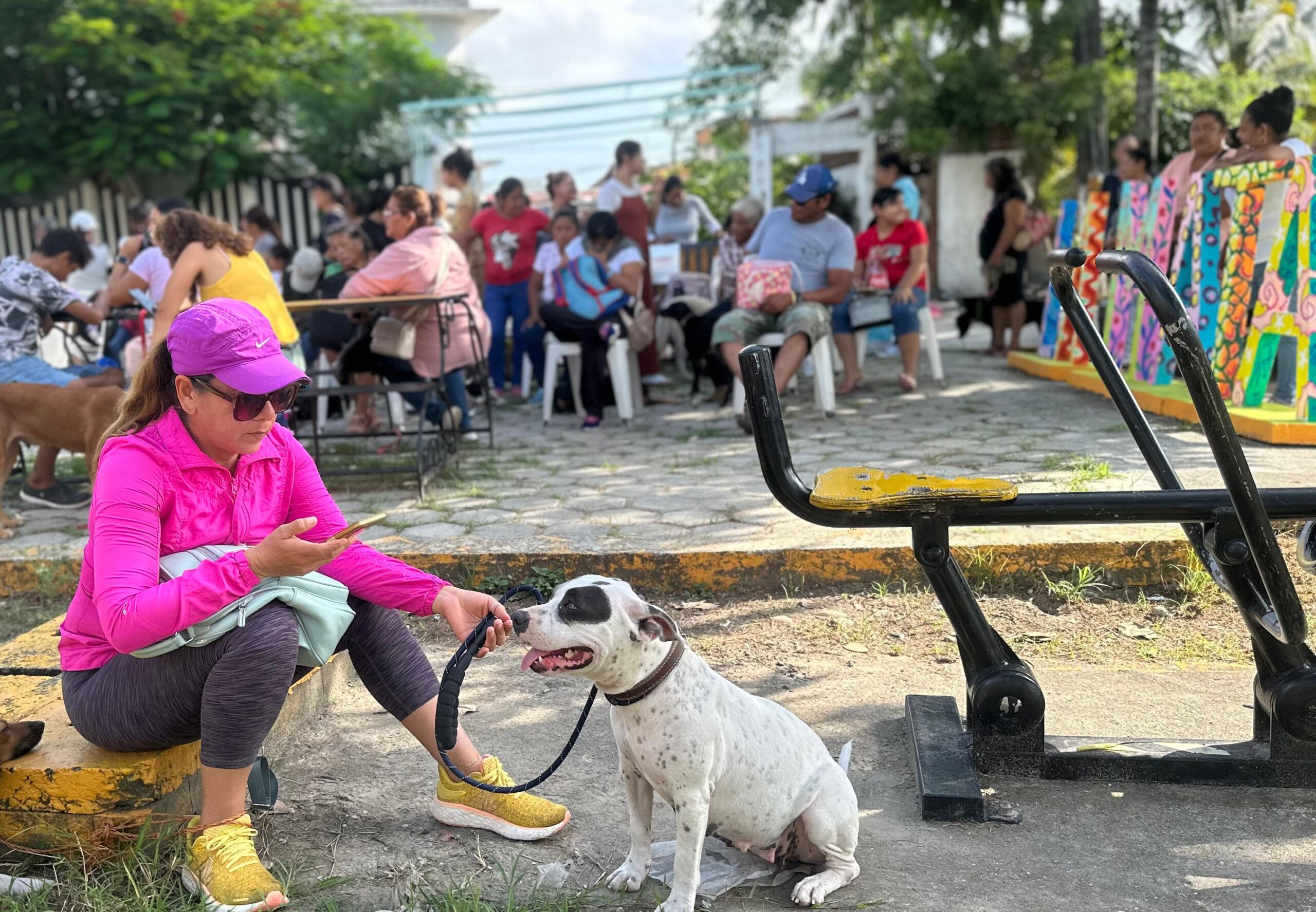 Inicia exitosa Campaña Gratuita de Esterilización Canina y Felina gestionada por Daniel Cortina