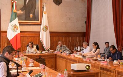 Mesa de Coordinación Estatal de Construcción de Paz y Seguridad