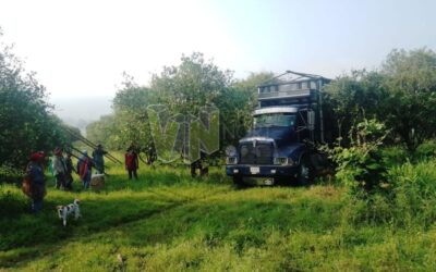 Recuperan la Parcela Escolar en Tzocohuite tras Larga Lucha Legal