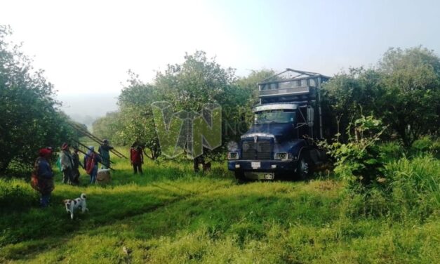 Recuperan la Parcela Escolar en Tzocohuite tras Larga Lucha Legal