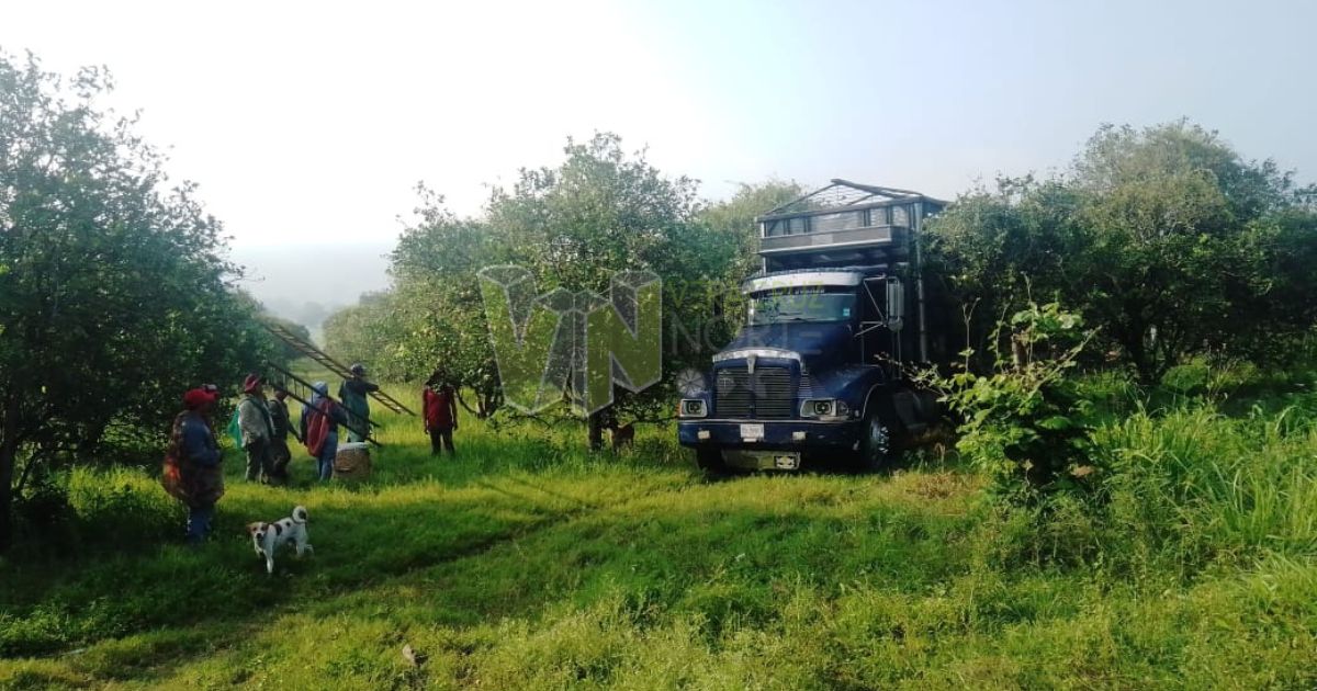Recuperan la Parcela Escolar en Tzocohuite tras Larga Lucha Legal