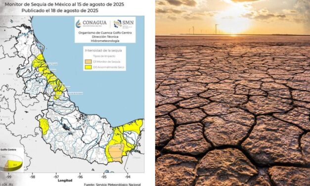 Municipios de Veracruz Norte catalogados como “anormalmente secos”