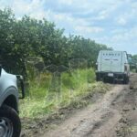 Hallan cementerio clandestino en Tepetzintlilla: cuatro cuerpos recuperados y diez fosas detectadas