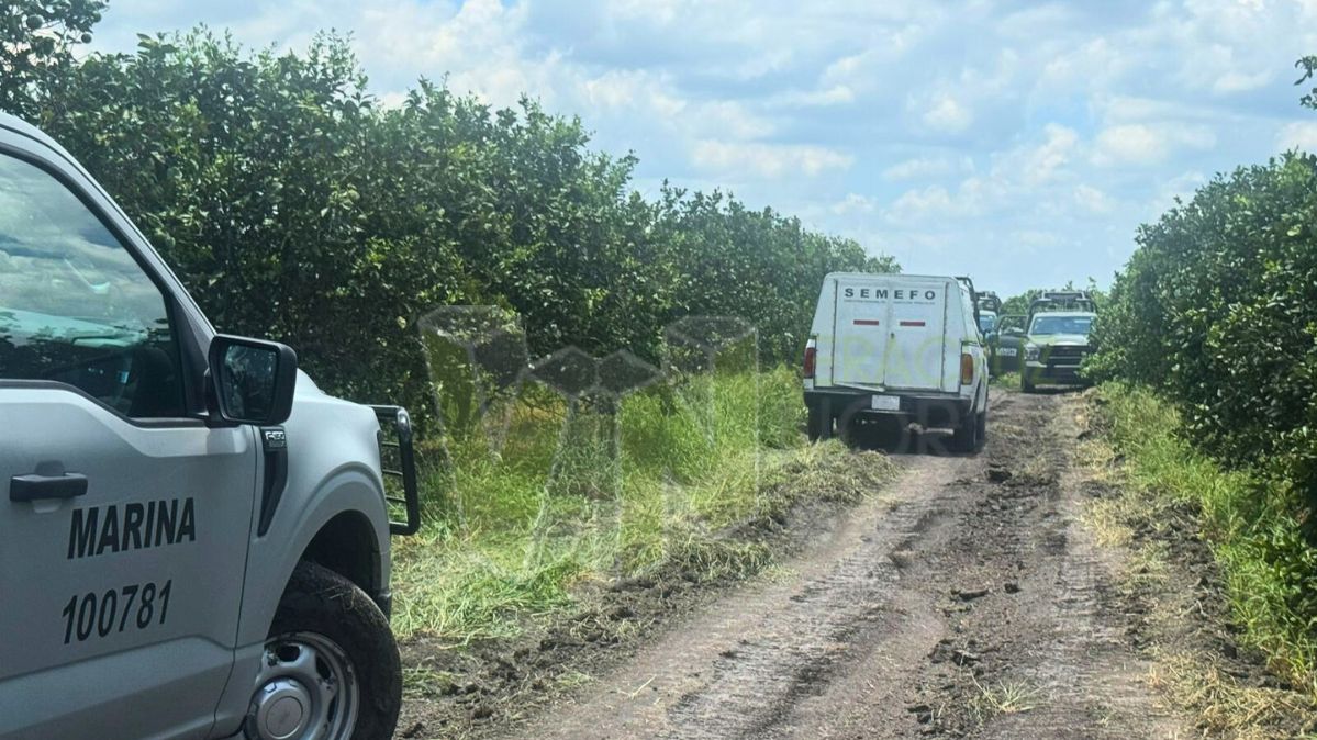 Hallan cementerio clandestino en Tepetzintlilla: cuatro cuerpos recuperados y diez fosas detectadas