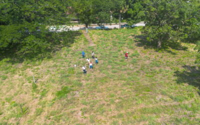 Después de 36 años, construirán plantel propio de TEBAEV en Potrero del Llano