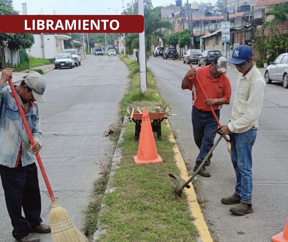 Cuadrillas de Parques y Jardines redoblan esfuerzos realizando chapeo, poda y desbroce en áreas verdes de la ciudad
