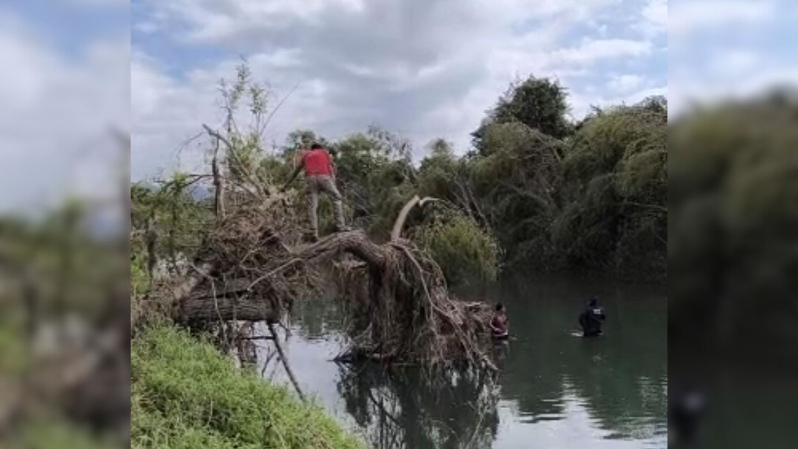 Diseño sin título - 2025-10-31T120858.164