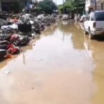  Poza Rica: aparecen gusanos ‘Cola de Rata’ en el lodo de la colonia Palma Sola