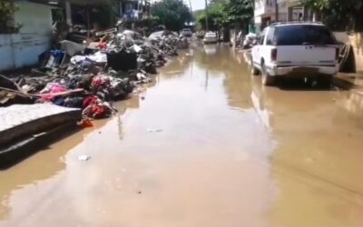 Poza Rica: aparecen gusanos ‘Cola de Rata’ en el lodo de la colonia Palma Sola