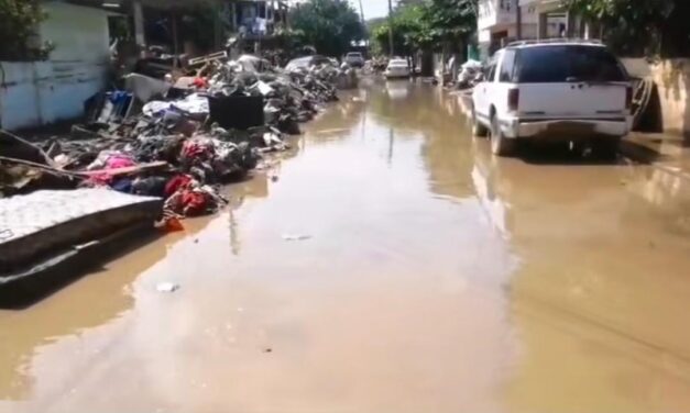 Poza Rica: aparecen gusanos ‘Cola de Rata’ en el lodo de la colonia Palma Sola