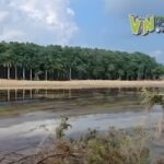 SEMAR y Comunidad Portuaria coordinan acciones para contener derrame de hidrocarburo en el río Tuxpan