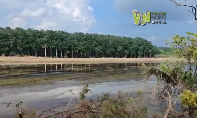 SEMAR y Comunidad Portuaria coordinan acciones para contener derrame de hidrocarburo en el río Tuxpan