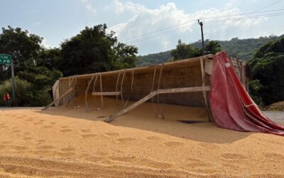 Vuelca tráiler con alimento para cerdo en Tihuatlán