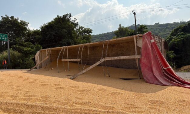 Vuelca tráiler con alimento para cerdo en Tihuatlán