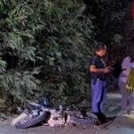 Motociclista fallece tras ser atropellado en la México-Tuxpan