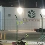 Álamo: Empresas jugueras de Álamo contratan transportistas foráneos