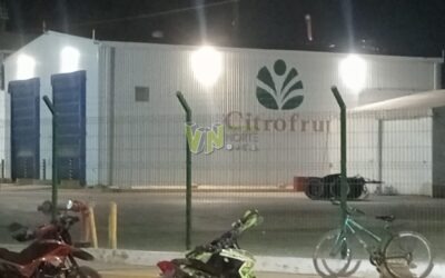 Álamo: Empresas jugueras de Álamo contratan transportistas foráneos