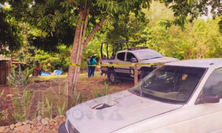 Tihuatlán: Localizan cuerpo de hombre atorado entre ramas a la orilla del estero en Zapotal
