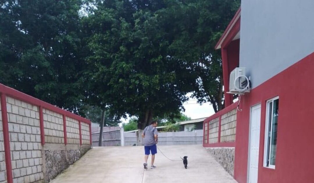 Éxito en Coatzintla: El Centro de Bienestar Animal mantiene jornadas permanentes de esterilización