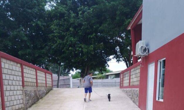 Éxito en Coatzintla: El Centro de Bienestar Animal mantiene jornadas permanentes de esterilización