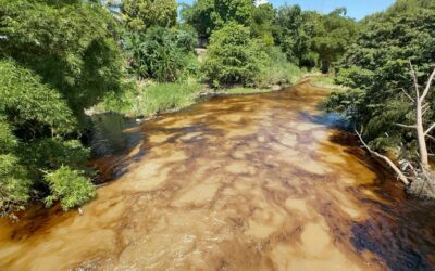 Desastre Ambiental en Tihuatlán: Habitantes de Totolapa Claman por Mantenimiento Ante Cuatro Derrames de Hidrocarburo